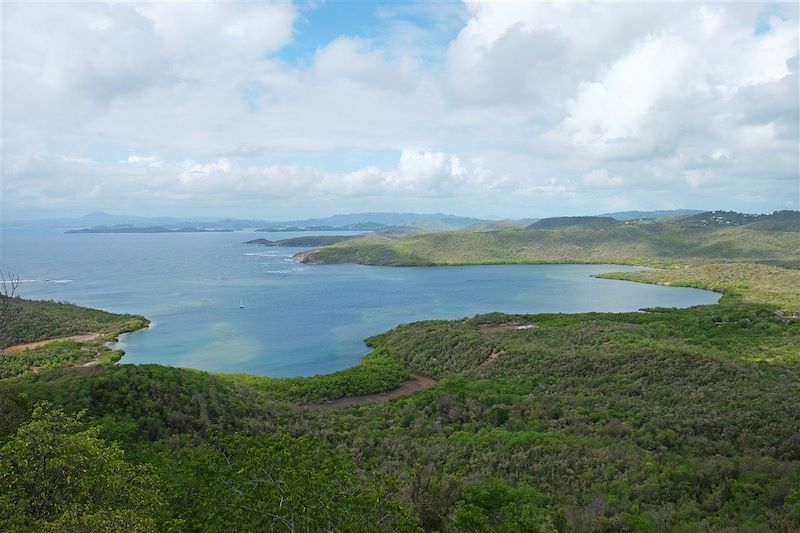 Presqu'île de la Caravelle - Martinique