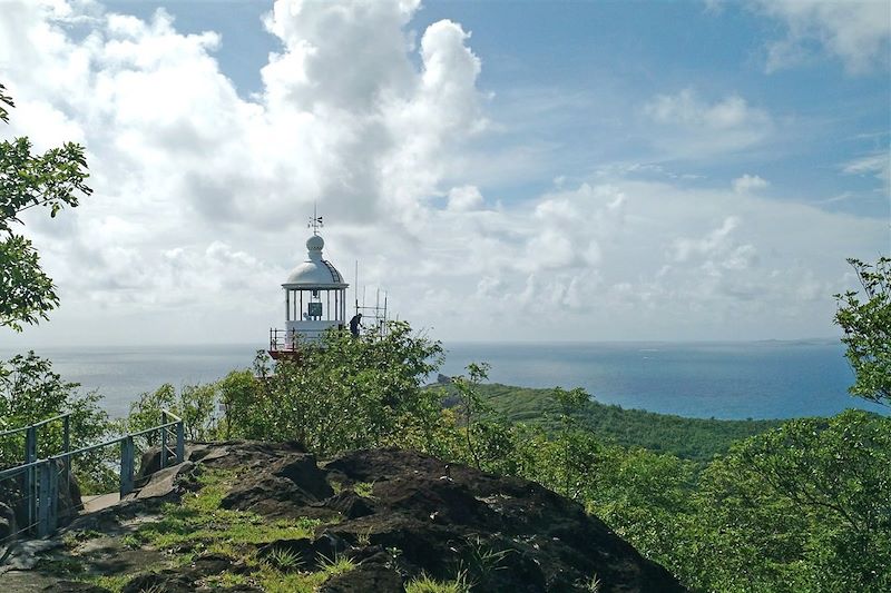 Phare de la Caravelle - Circuit des mares - La Trinité - Martinique