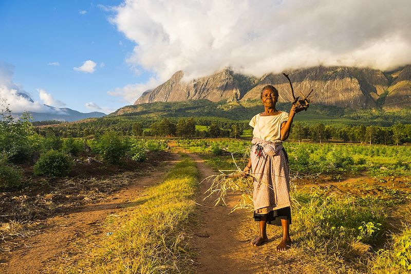 Femme devant le mont Mulanje - Malawi