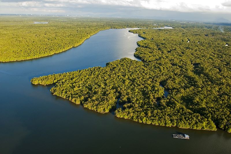 Vue aérienne de la mangrove - Sarawak - Bornéo - Malaisie