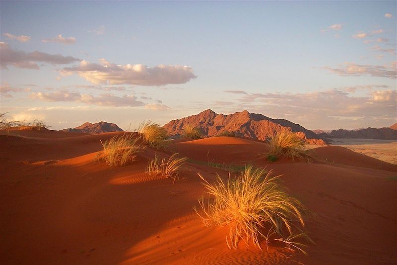 Dune Elim - Namibie