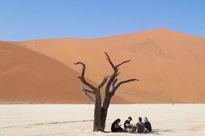 Arbre fossilisé de Dead Vlei dans le desert du Namib - Namibie