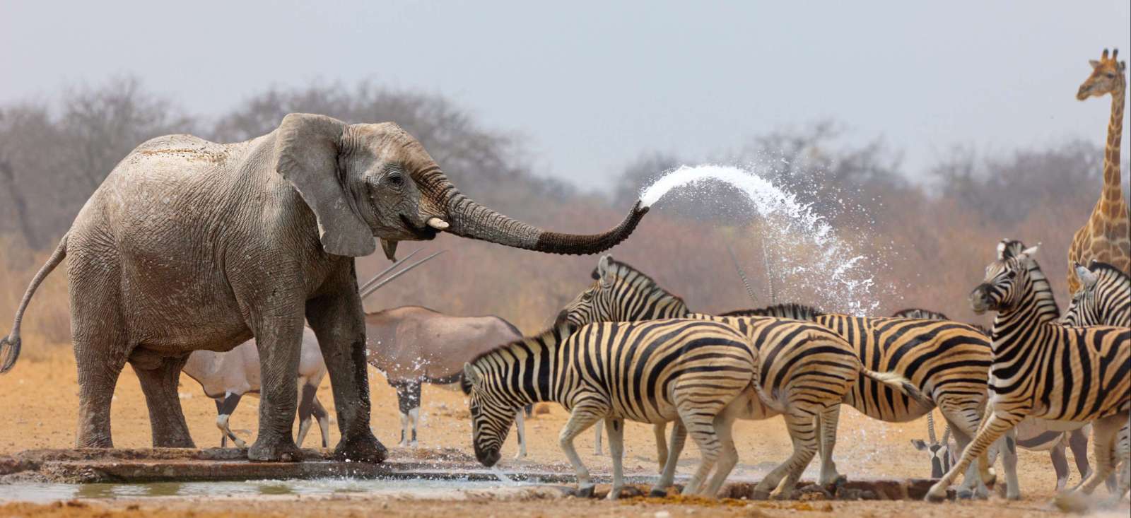 Image Namibie, l'aventure pour tous