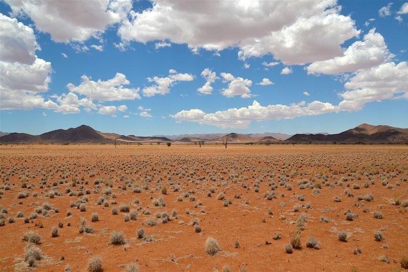 Réserve naturelle du Namib Rand - Namibie