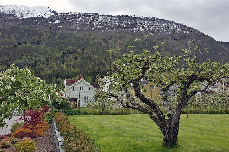 Solvorn - Comté de Sogn og Fjordane - Norvège