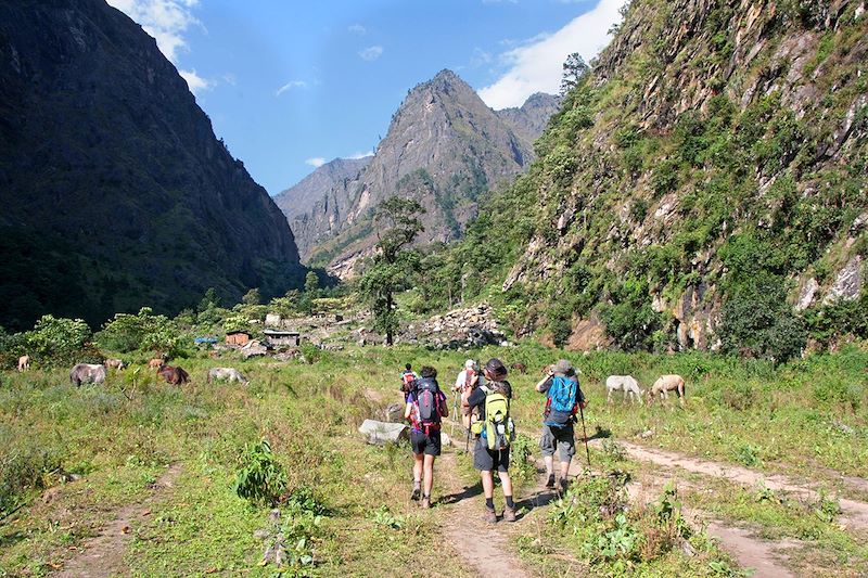 Trek de Machakhola à Jagat autour du Manaslu - Népal