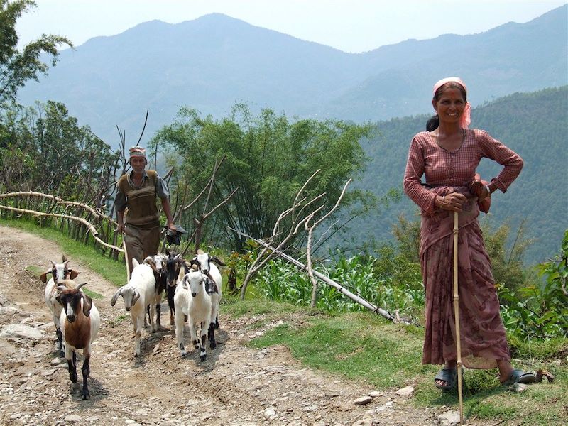 Fermiers au Népal