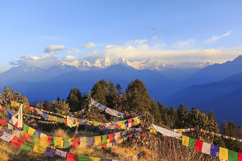 Lever du soleil sur les Annapurnas et le Dhaulagiri depuis Poonhill - Népal