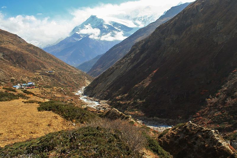 Yak Kharka - Annapurna - Népal
