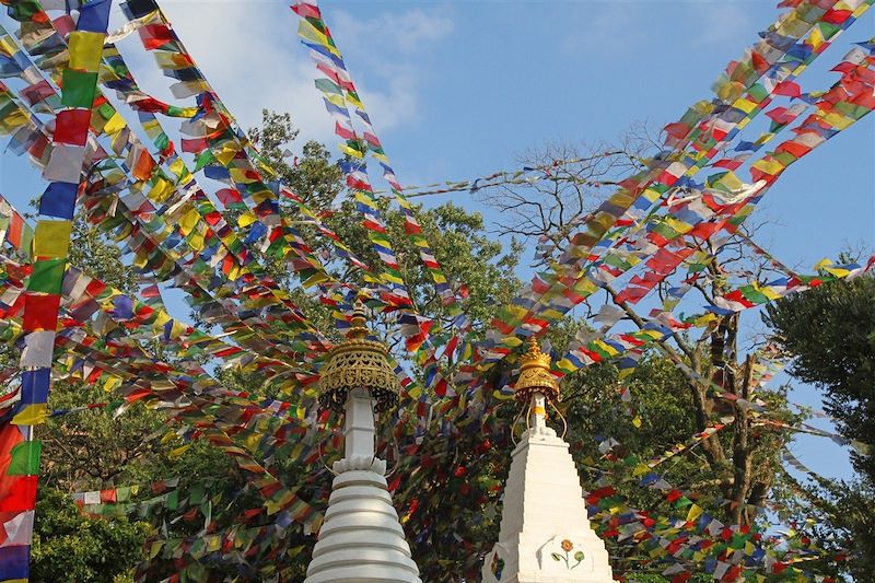 La stupa Swayambunath - Bodnath - Katmandou - Népal