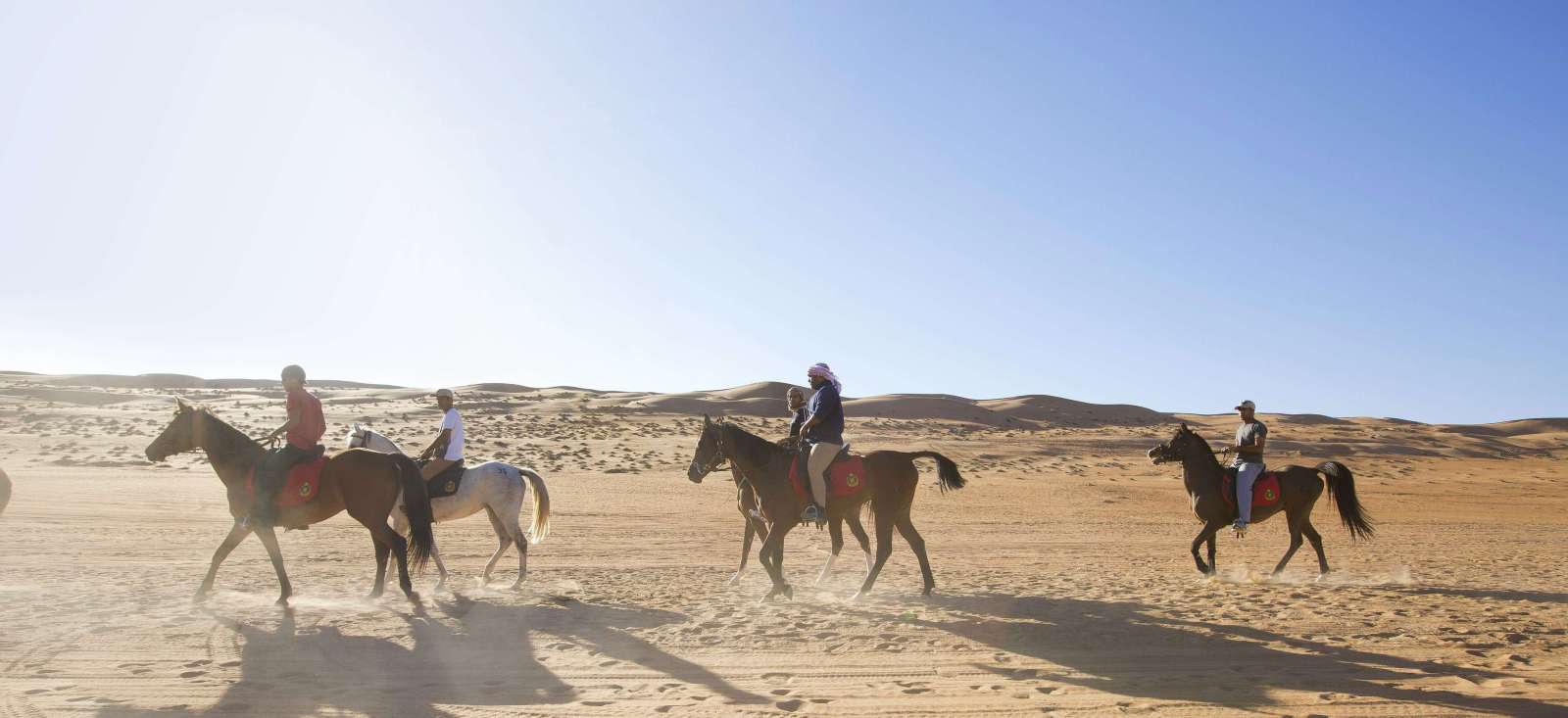 Image Chevauchée entre mer et dunes d'Arabie