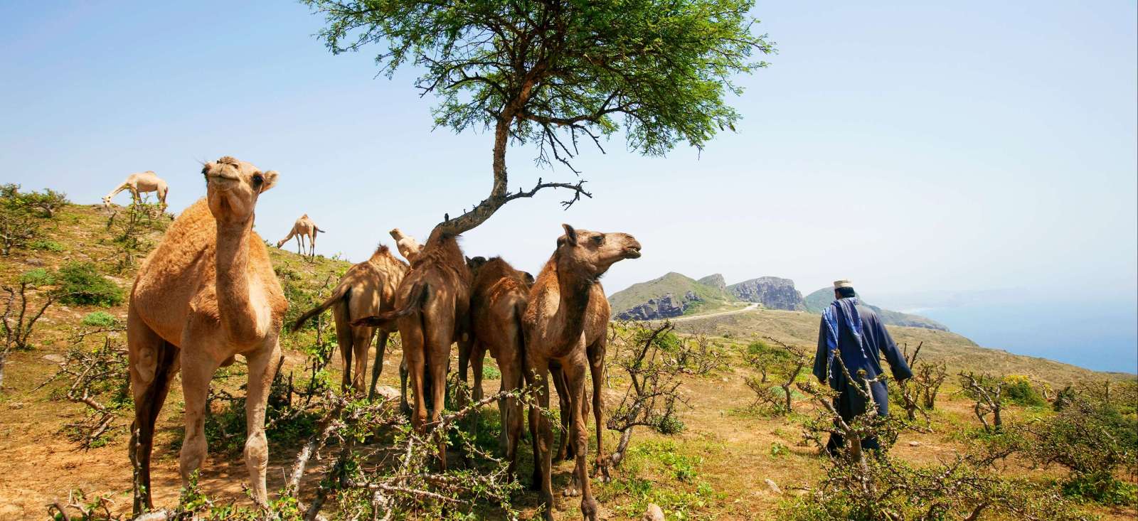 Image La grande traversée d'Oman, du Nord au Sud