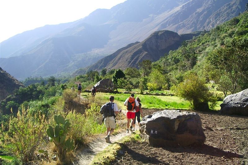 Canyon del Colca - Arequipa - Pérou