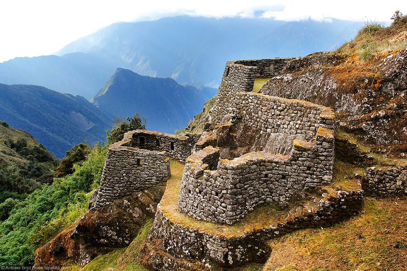 Chemin de l'Inca - Cordillère des Andes - Pérou