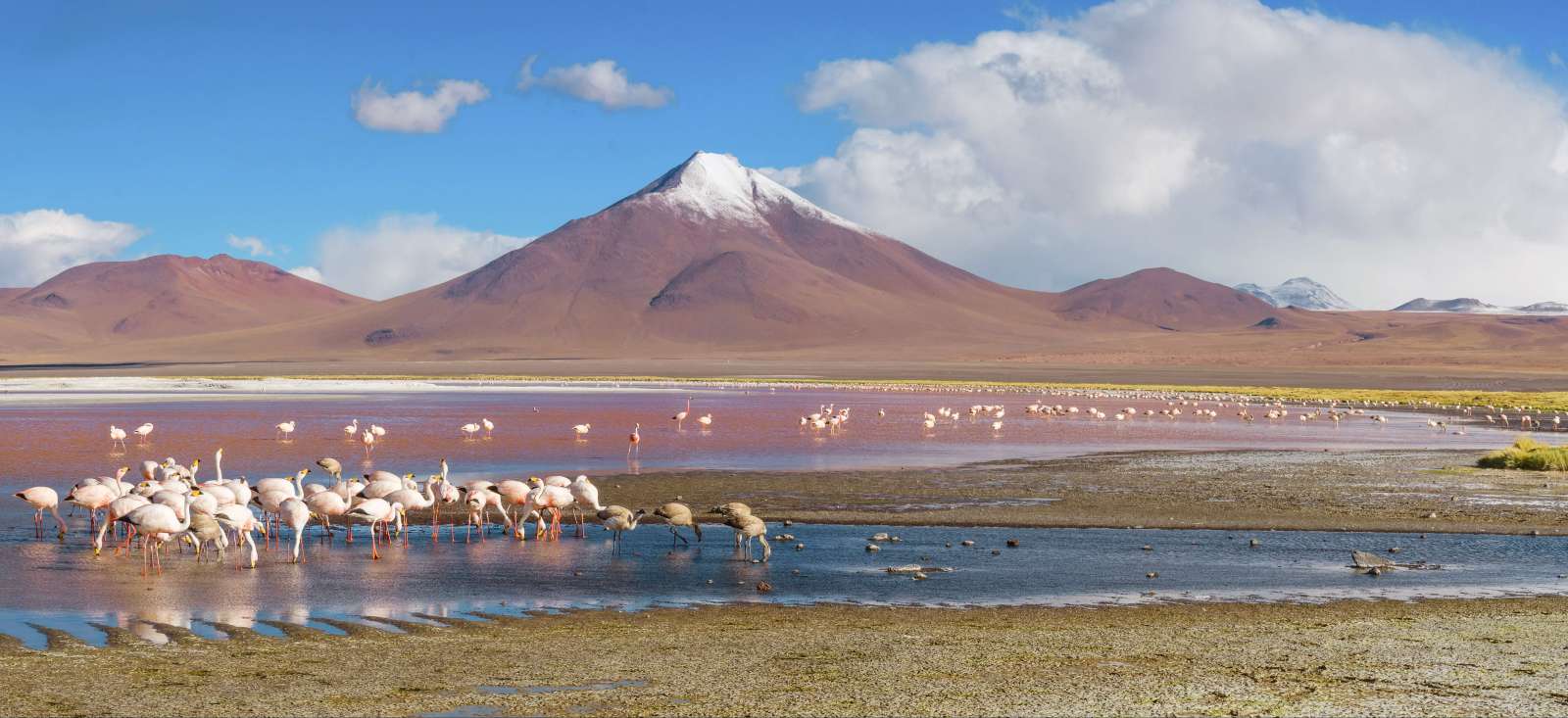 Image En famille du Machu Picchu au salar d'Uyuni