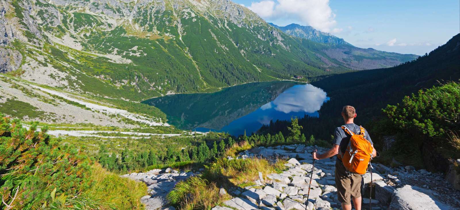 Image Cracovie et le massif des Carpates