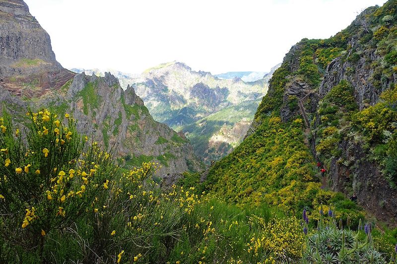 Randonnée entre le Pico do Arieiro et le Pico Ruivo - Madère - Portugal
