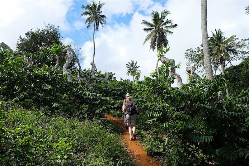 Randonnée entre Kwalé et Combani - Mayotte