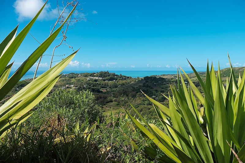 Point de vue depuis le Mont Limon - Rodrigues