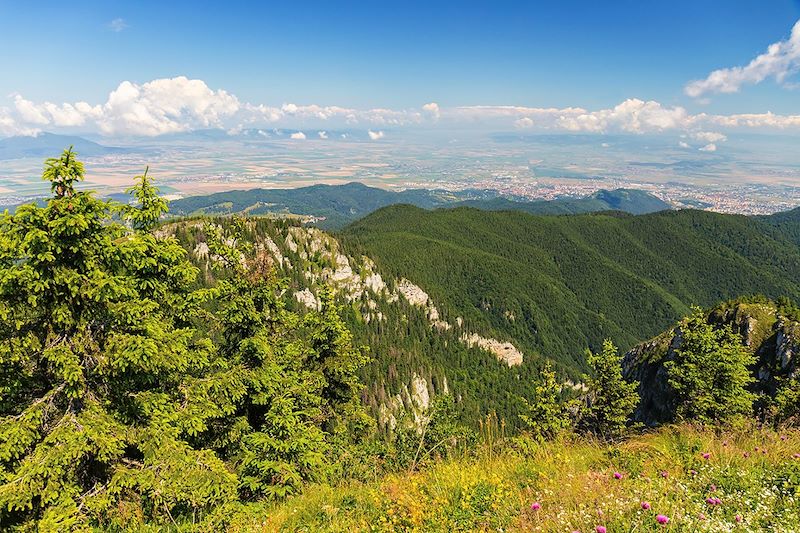 Vue depuis le massif de Postavarul - Carpates - Roumanie