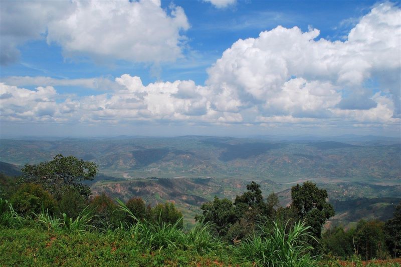 Environs de Kinigi - Rwanda