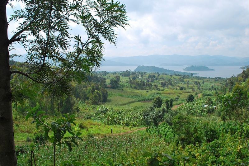 Lac Ruhondo - Rwanda