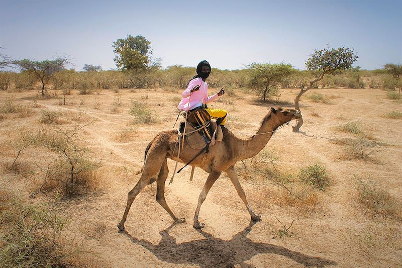 Méharée au Sénégal : Camel idée !