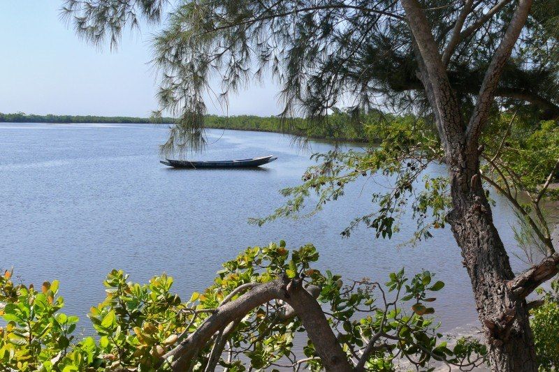 Île d'Egueye - Casamance - Sénégal