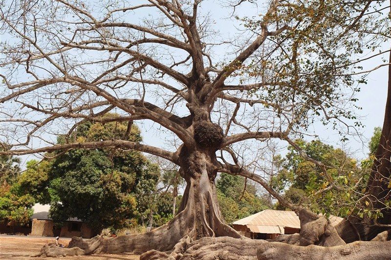 Mlomp - La Casamance - Sénégal