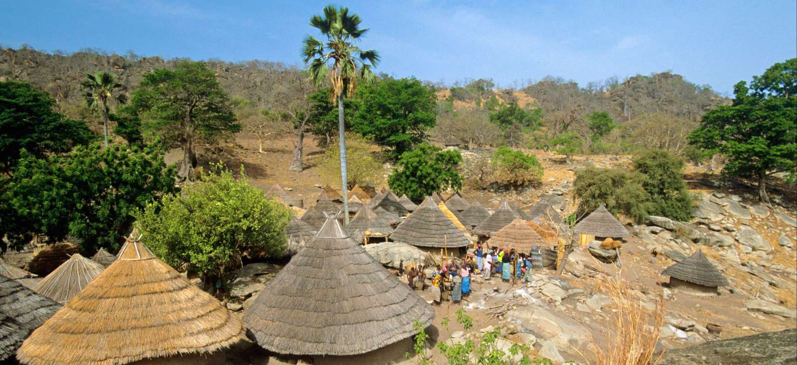 Voyage avec des animaux Sénégal : Rando et Safari en Pays Bedik et Bassari Voyage avec des animaux : Sénégal : Rando et Safari en Pays Bedik et Bassari