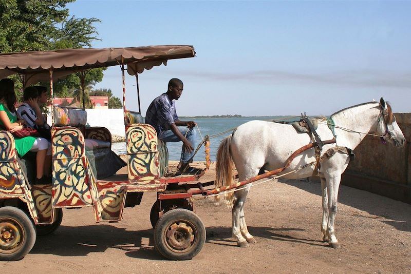 Balade en calèche à Saint-Louis - Sénégal