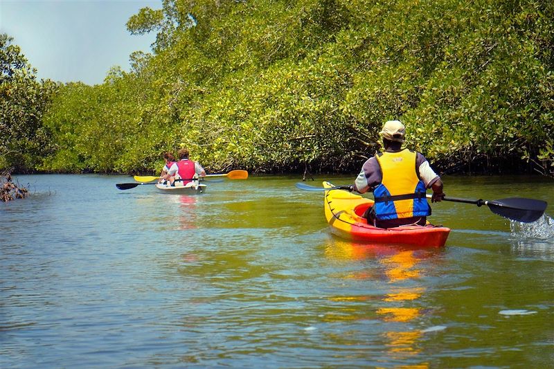Kayak dans la mangrove de l'île d'Egueye - Sénégal