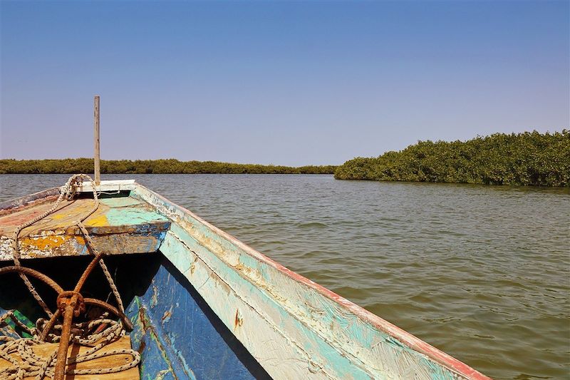 En pirogue dans le parc national du delta du Sine Saloum - Sénégal