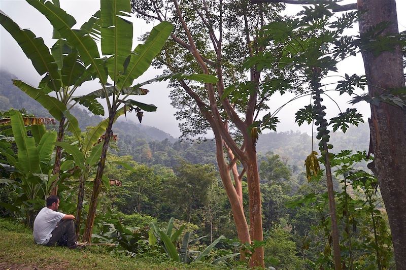 Randonnée entre Bombain et Claudino Faro - Parc naturel Obo - Sao Tomé-et-Principe