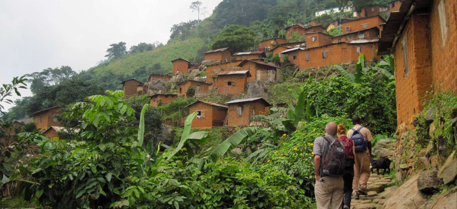 Image Forêts tropicales, villages et cascades