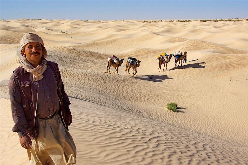 Guide et caravane dans le désert - Tunisie