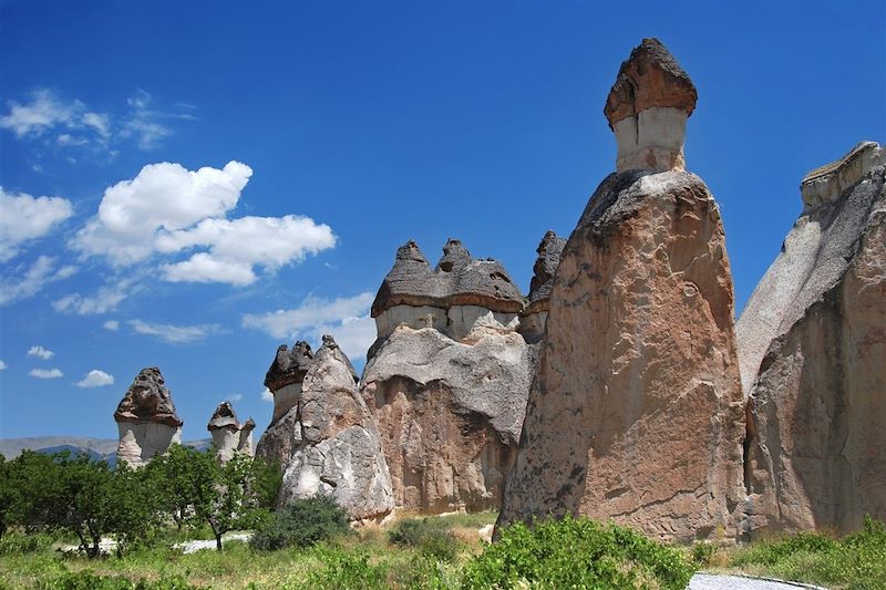 Pasabag - Cappadoce - Turquie