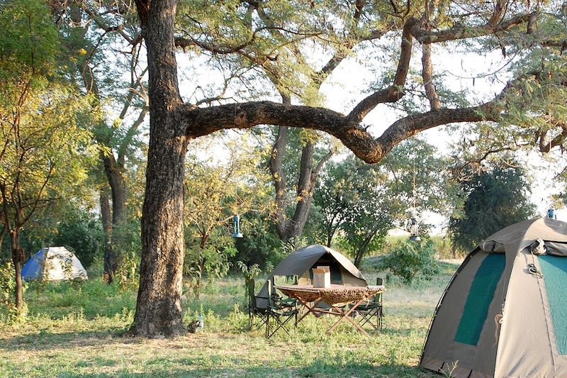 Campement dans le parc national de Tarangire - Tanzanie