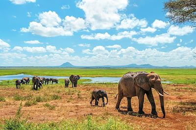 voyage Safari en Lodge et Plages à Zanzibar ! 