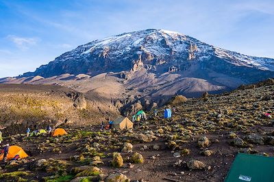 voyage Ascension du Kilimandjaro et Zanzibar 