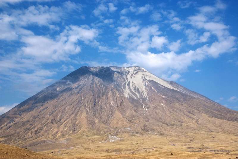 hitler rencontre renée la taupe