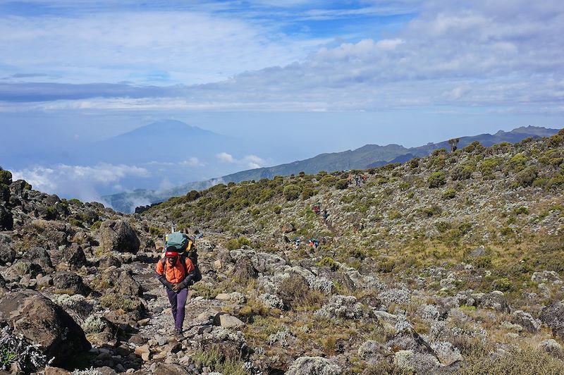 Trek entre Shira et Barranco Camp - Kilimandjaro - Tanzanie
