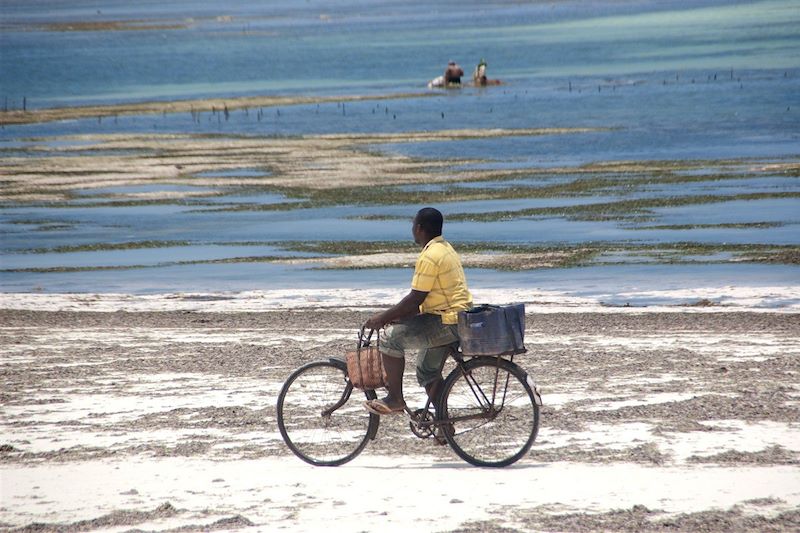 Matemwe - Ile de Unguja - Zanzibar - Tanzanie