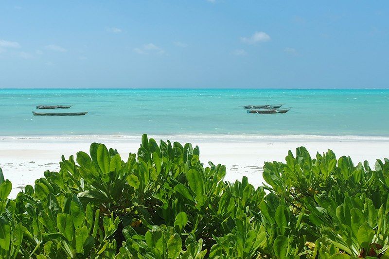 Jambiani - Zanzibar - Tanzanie