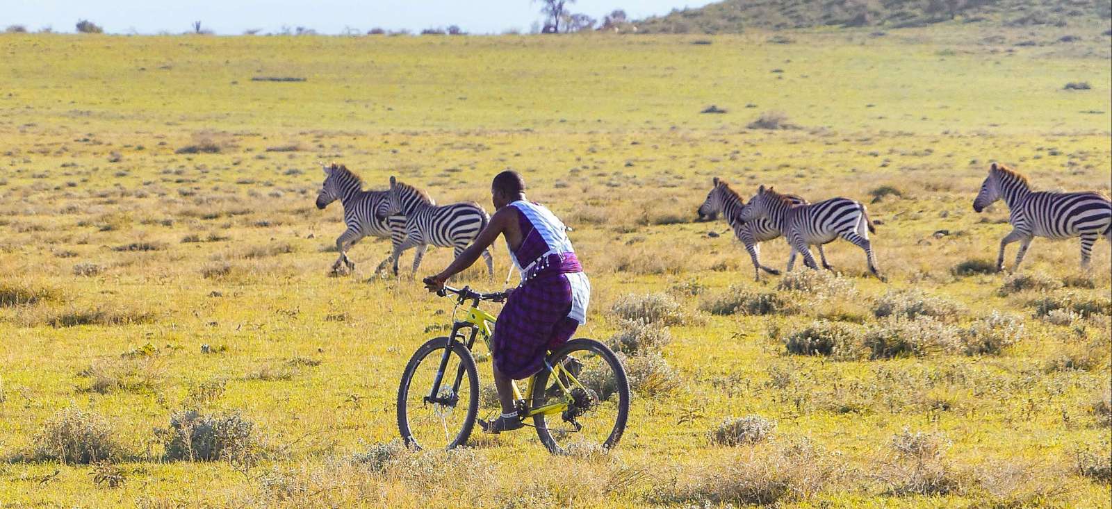 Image Safari VTT en Tanzanie !