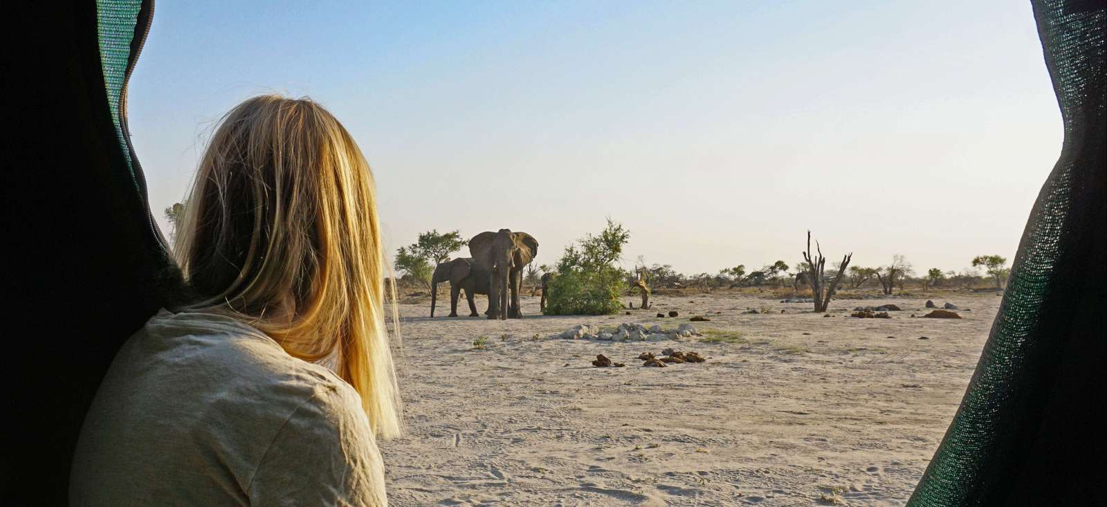 Image Camping Party en Tanzanie !