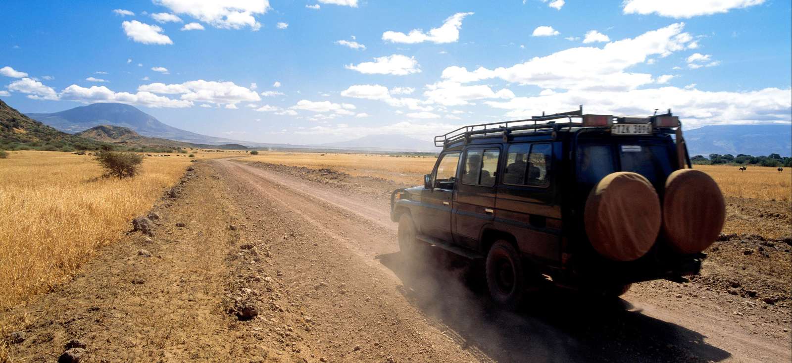 Image Au bout des pistes.... le Serengeti