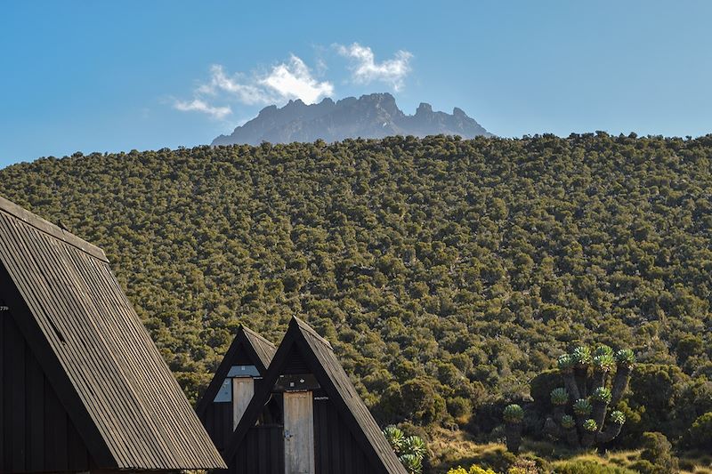 Horombo Hut et le mont Mawenzi - Kilimandjaro - Tanzanie