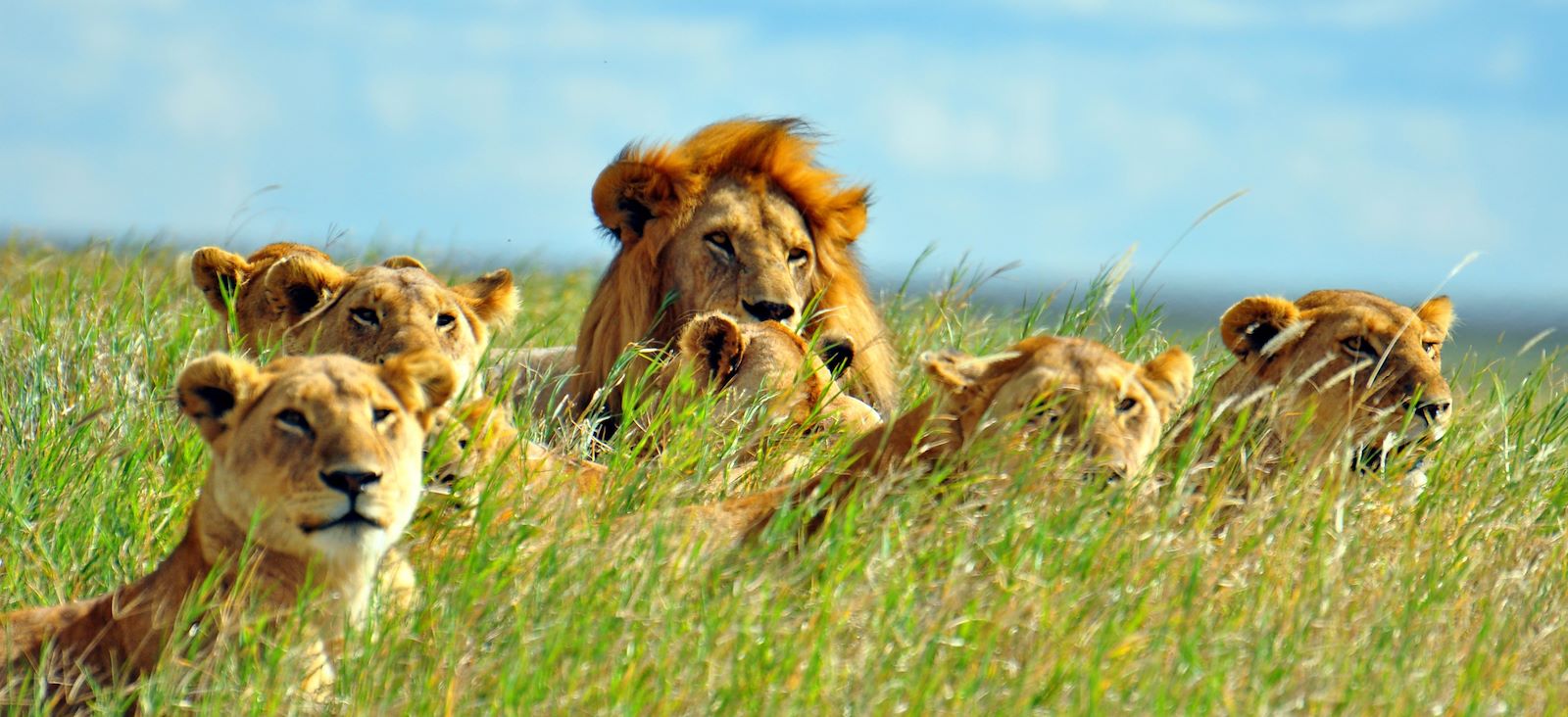 Image Road trip en Tanzanie & Zanzibar