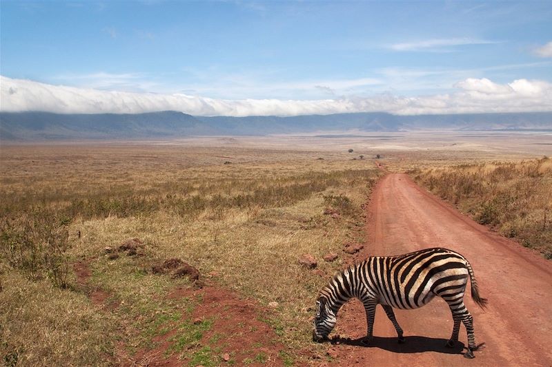 Trek sur le Kilimandjaro, Safari & Zanzibar